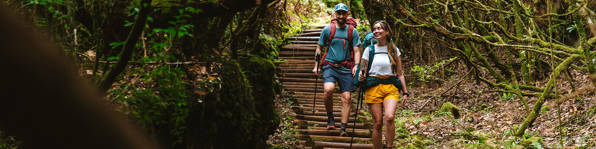 Who We Are Gregory Packs